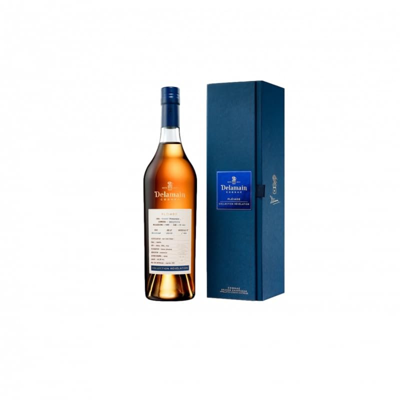 COGNAC DELAMAIN COLL.REVELATION 1995 40% CL.70 GB